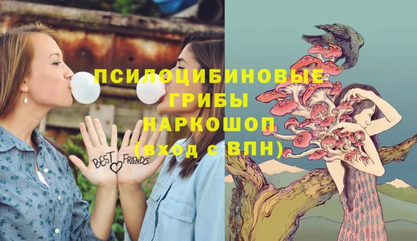 круглые Лагань