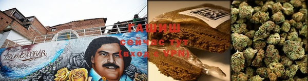 амф Ладушкин