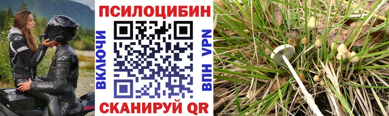 Купить закладки  Югорск  Галлюциногенные грибы Psilocybine cubensis 