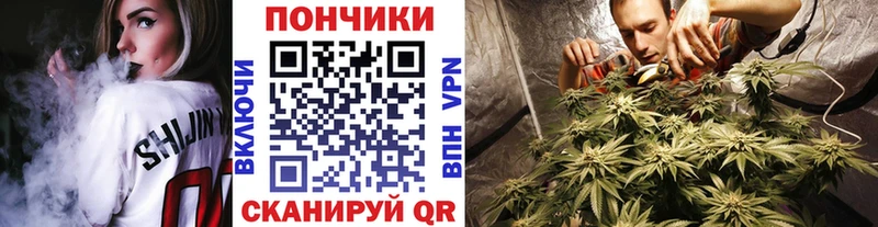 Бошки Шишки конопля  Купить где  Югорск 